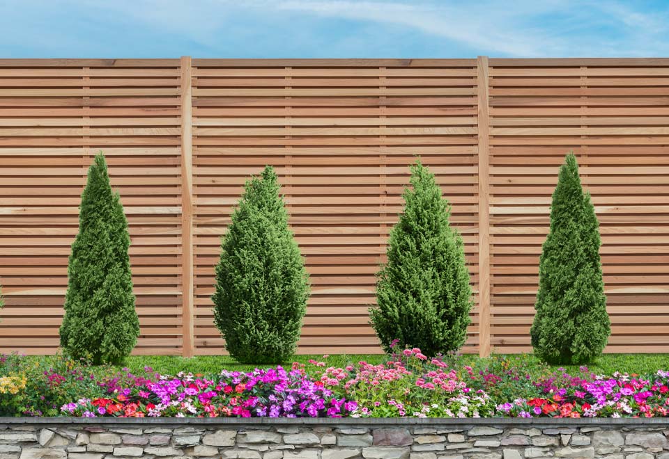 Canadian Cedar fencing